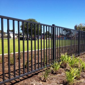 Wrought Iron Fence in Frisco